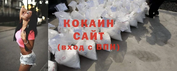 прущие грибы Протвино