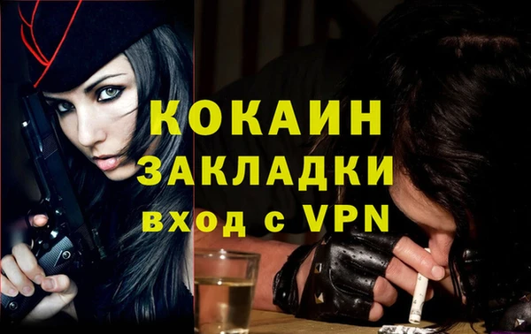 прущие грибы Протвино