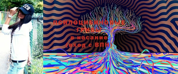 дурь Приозерск