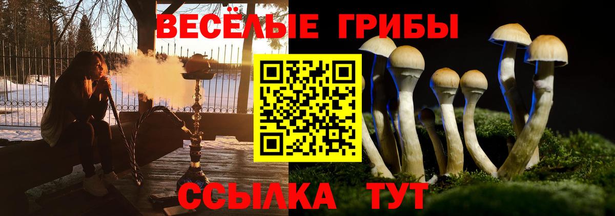 Галлюциногенные грибы Cubensis Новотроицк