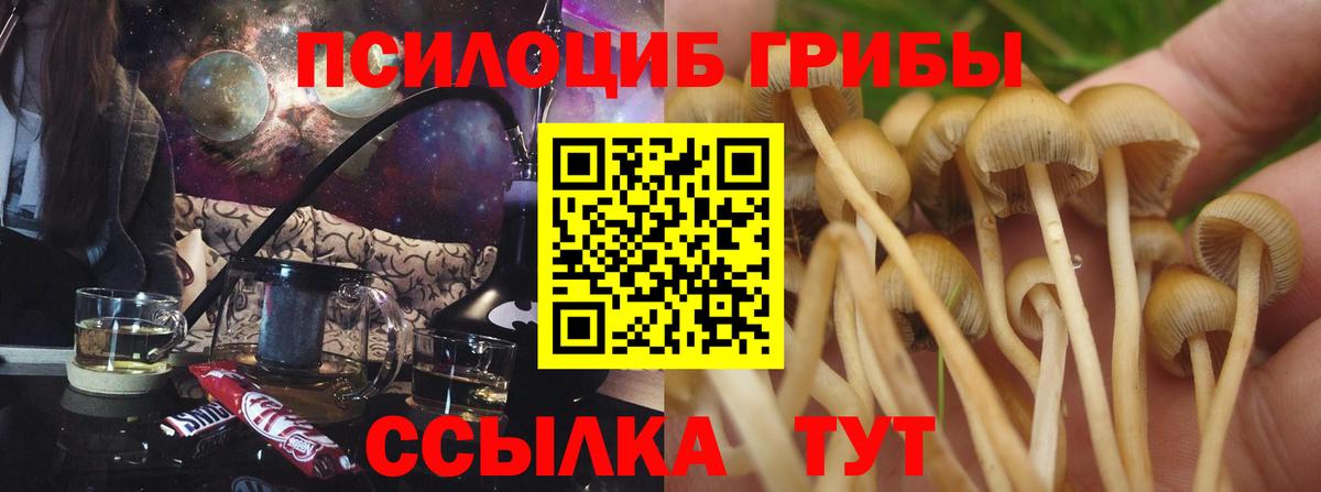 Новотроицк  Галлюциногенные грибы прущие грибы  Вход с VPN  Псилоцибиновые грибы GOLDEN TEACHER 